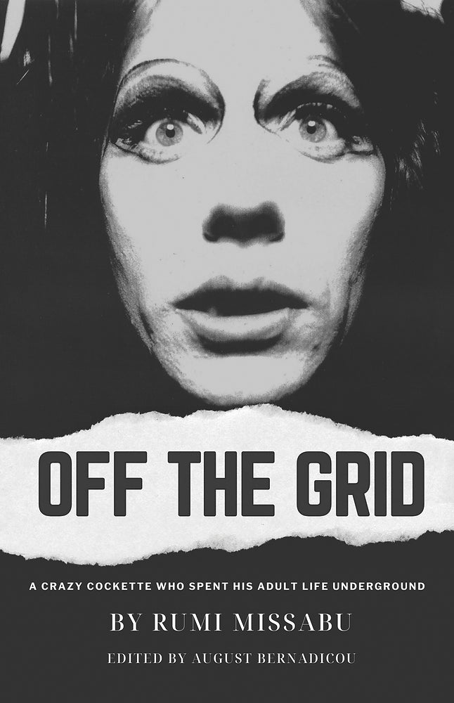 Off The Grid: A Crazy Cockette Who Spent His Adult Life Underground Book Dream Brother   